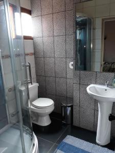 a bathroom with a toilet and a sink at Hostal Casa Amarilla San Vicente de Tagua Tagua in San Vicente de Taguatagua