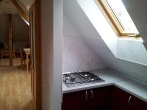 Kuchyň nebo kuchyňský kout v ubytování Apartament Roza + 32 fotografií