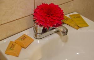 a red flower in a faucet on a sink at La Granja del Colca in Cabanaconde