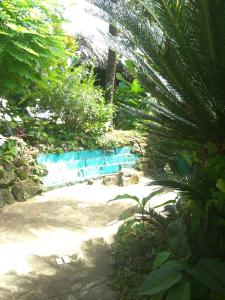 um caminho num jardim com árvores e plantas em Beverly's Hill Guest House em Bocas Town