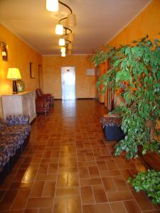 a lobby with couches and potted plants at Hostal Adarnius in La Bisbal