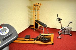 Fitness centrum a/nebo fitness zařízení v ubytování Hotel Gerbe