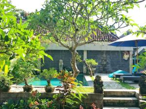 a swimming pool with a tree and an umbrella at Ayu Bungalow 2 in Ubud