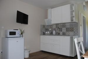 Kuchyňa alebo kuchynka v ubytovaní Apartment Ptačí Dům