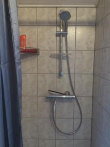 a shower with a shower head in a bathroom at Amazing Herlev in Herlev