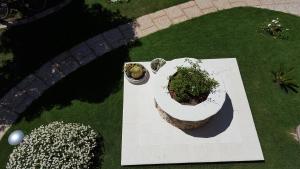 A garden outside Sole D'oro IUN S4354