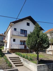 ein weißes Haus mit einem Baum davor in der Unterkunft S&G Apartment in Vranje