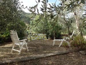 2 Stühle und ein Tisch im Garten in der Unterkunft Casetta tra gli Ulivi vicina al Mare in Giustenice