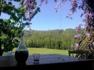 a bottle and a glass on a table with a view at Locanda di Campagna in Mulazzo