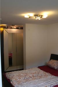 1 dormitorio con cama y espejo grande en Ferienwohnung an der Alb en St. Blasien