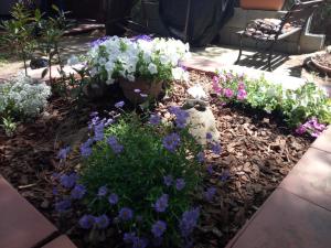 A garden outside Tiny House