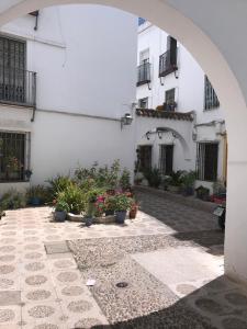 コルドバにあるApartamento A. Andalusí.の鉢植えの白い建物の前のアーチ道
