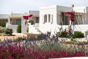 a house with flowers in front of it at Portes Houses in Koufonisia
