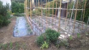 A garden outside La Residence da Caterina