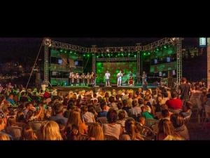 Une foule de gens assis dans un auditorium en train de regarder un concert dans l'établissement Apartment Feral, à Neum