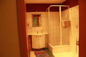 een badkamer met een douche en een wastafel bij Ferienwohnung Götze in Irxleben
