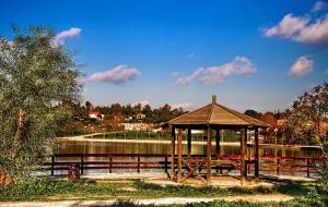 a wooden gazebo sitting next to a lake at Greek hospitality in Athens
