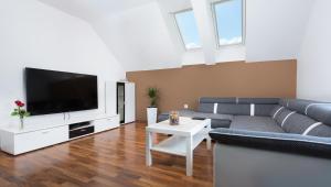 Boomerang Apartment Bled في بليد: غرفة معيشة مع أريكة وتلفزيون