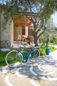 a green bike parked in front of a house at To Stolidi tis Psinthou in Psinthos