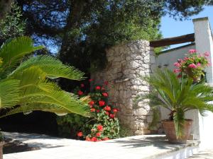 Zahrada ubytování Breezes B&B