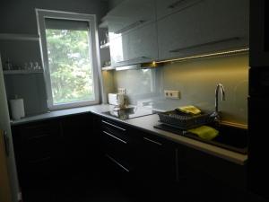 Кухня або міні-кухня у Greentó Apartman