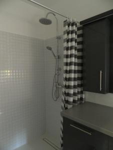 Ένα μπάνιο στο Greentó Apartman