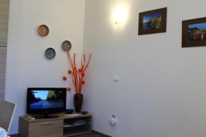 TV a/nebo společenská místnost v ubytování Loft La Conchiglia