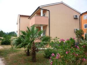 a house with a palm tree in front of it at APARTMENT IVA 2 in Ližnjan