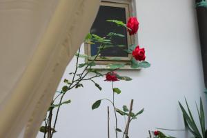 Kép Hotel Dalmazia szállásáról Firenzében a galériában