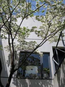 a tree in front of a white building with a window at AH87 Osaka in Suita