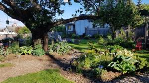 um jardim com uma árvore e algumas flores em Campbell Cottage B&B em Nanaimo