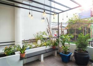 a balcony with plants and potted plants at AYA Homestay in Ho Chi Minh City