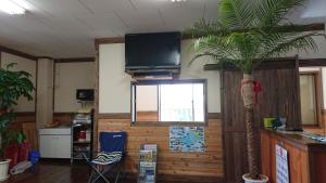 a living room with a palm tree and a tv at Guesthouse Minami in Setouchi