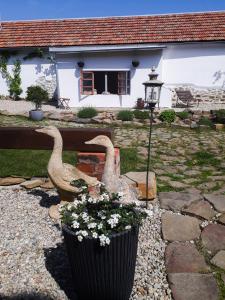 Giardino di Statek u kapličky