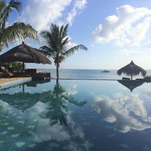 a swimming pool with a palm tree and the ocean at Villas do Indico in Vilanculos