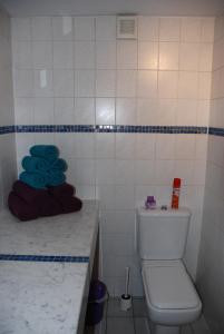 y baño con aseo, lavabo y toallas. en Turm Hämelmaous en Echternach