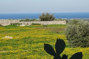 Photo de la galerie de l'établissement L'antico orto, à Ostuni