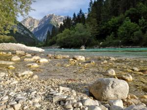 Fotografie z fotogalerie ubytování Apartment Joži v destinaci Soča