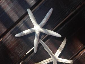 Fotografie z fotogalerie ubytování Villa Sciacca Lumia LUNA v destinaci Sciacca + 44 fotografií