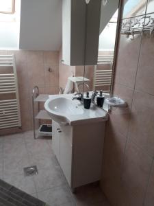 uma casa de banho com um lavatório e um chuveiro em Apartman Patrik em Slunj