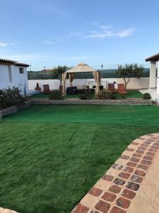 a yard with a green lawn with an umbrella at Venustas Apartaments in Lampedusa