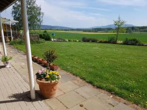 a porch with a potted plant and a field of grass at Ferienwohnung Hof Theensen in Bad Münder am Deister