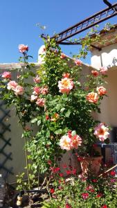 Gallery image of Au Bon Penequet in Pujaut