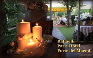 Gallery image of Raffaelli Park Hotel in Forte dei Marmi