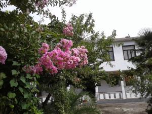 Fotografie z fotogalerie ubytování Avto House v destinaci Batumi + 36 fotografií
