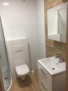 a white bathroom with a toilet and a sink at apartament in Szklarska Poręba