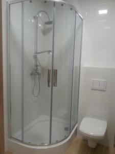 a bathroom with a glass shower with a toilet at apartament in Szklarska Poręba