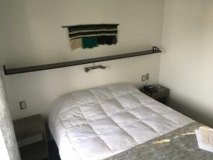 Katil atau katil-katil dalam bilik di Hotel Aysen Austral