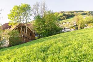 a house on the side of a grassy hill at Auszeit beim Oswald in Micheldorf in Oberösterreich