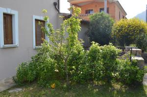 Zahrada ubytování Guest Rooms Affittacamere